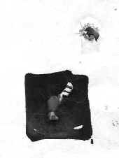 huffakerbullet_target.jpg (9946 bytes)