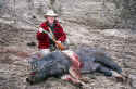 Steve_hog.jpg (44406 bytes)