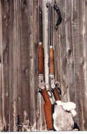 old3220s.jpg (45497 bytes)