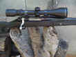 rifle2.jpg (50129 bytes)