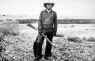 Steve McQueen as Tom Horn