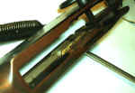 trapper4.jpg (28579 bytes)