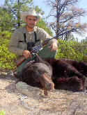 Bear.jpg (44533 bytes)