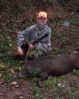 boar1.jpg (18754 bytes)