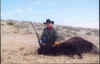 mama_bison.jpg (24979 bytes)